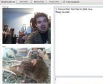 Tangkapan layar pertemuan chatroulette — Chatroulette Jerman di Camyster